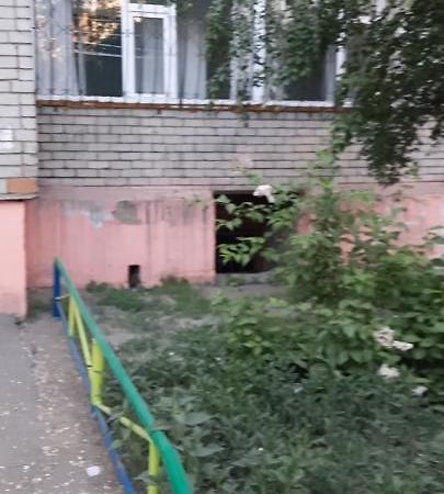 Cosy flat Apartment Semei Exterior foto